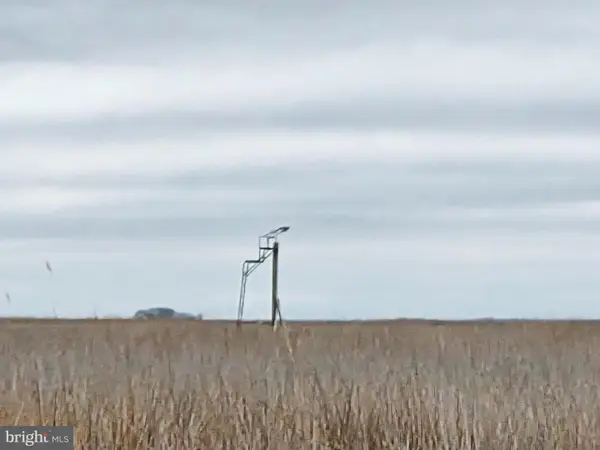 Waterfowl & Sika Deer --s/s Wesley Rd #muskrat Harbor, CRAPO, MD 21626