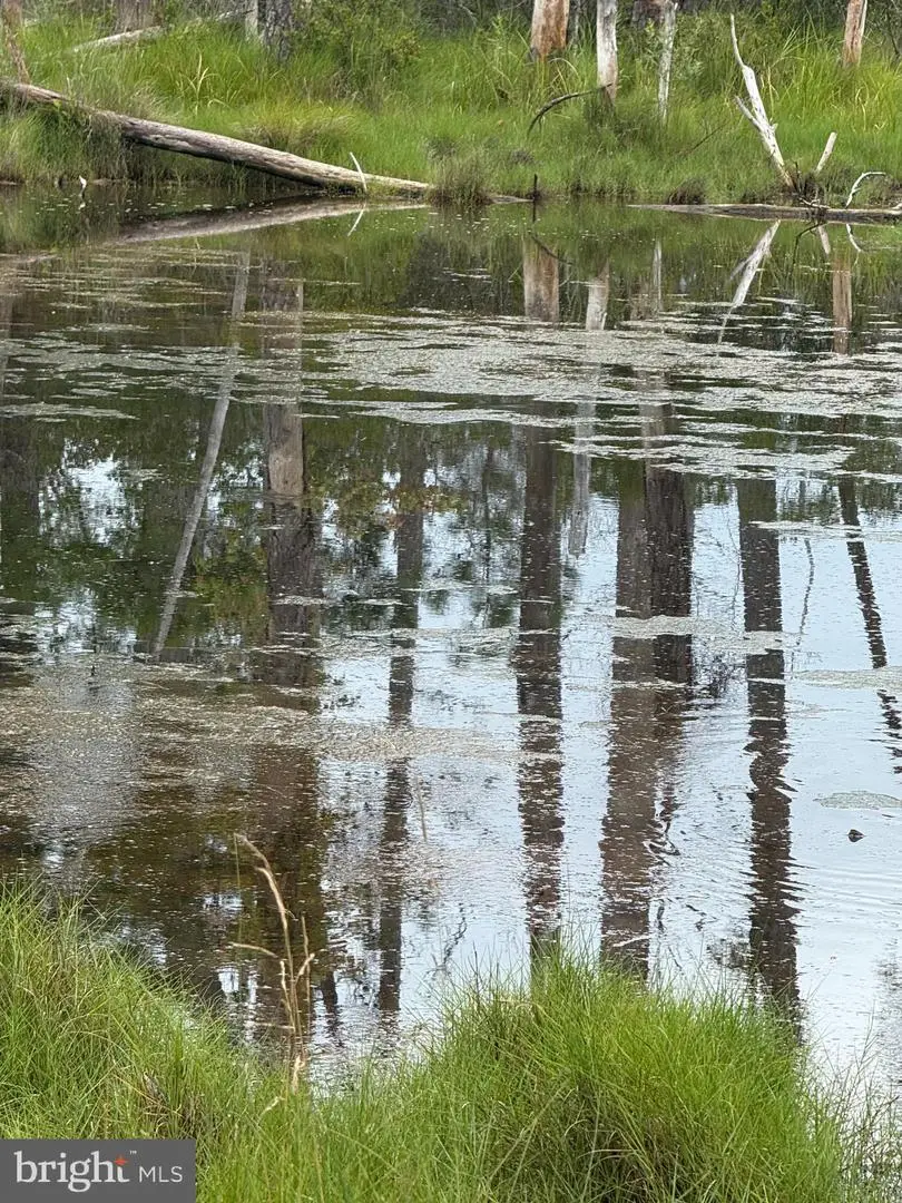 Farm Creek, Wingate, MD 21675 - Image #2