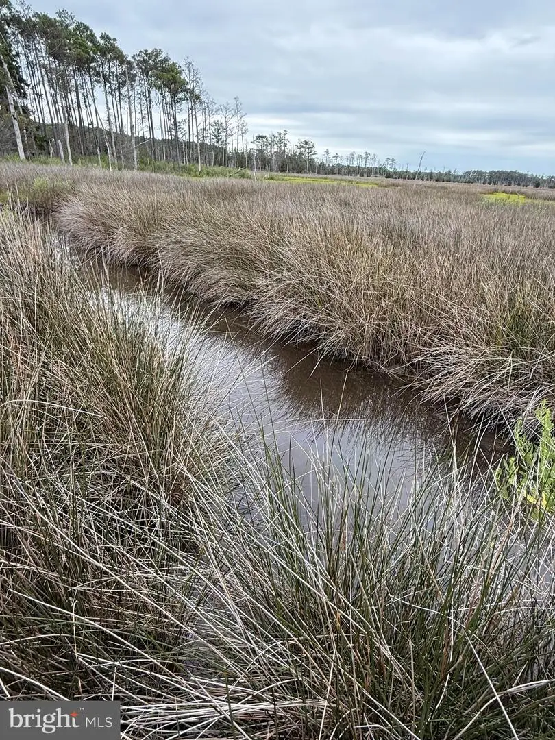 Farm Creek, Wingate, MD 21675 - Image #3