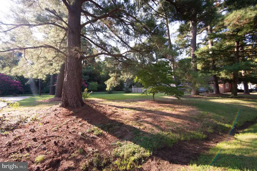 2 & 4 Algonquin Rd, Cambridge, MD 21613 - Image #3