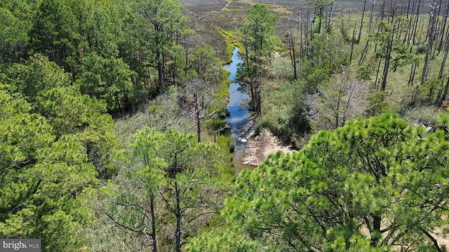 Brady Todd Rd, Crocheron, MD 21627 - Image #3