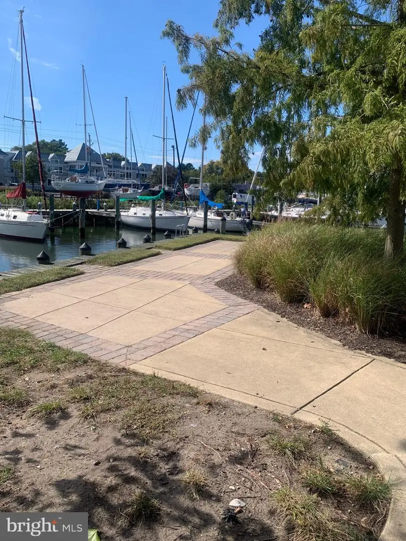 900 Marshy Cv #401, Cambridge, MD 21613 - Image #2