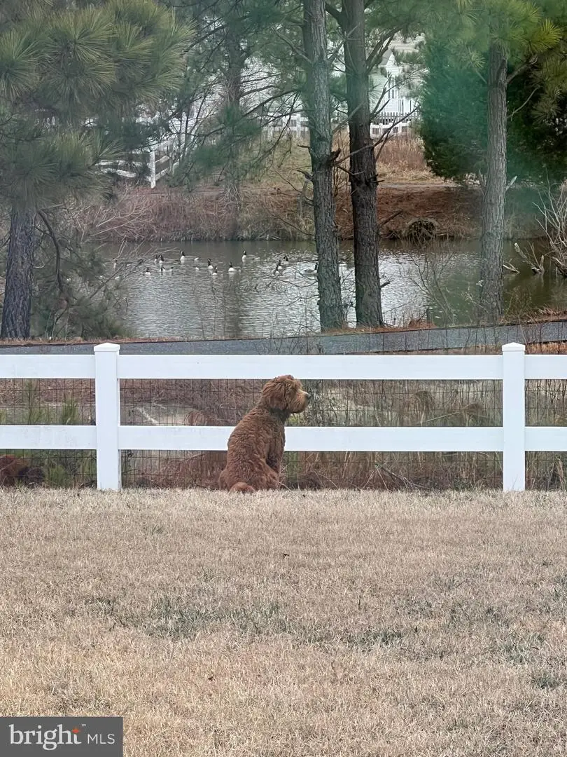 1606 Osprey Cir, Cambridge, MD 21613 - Image #2