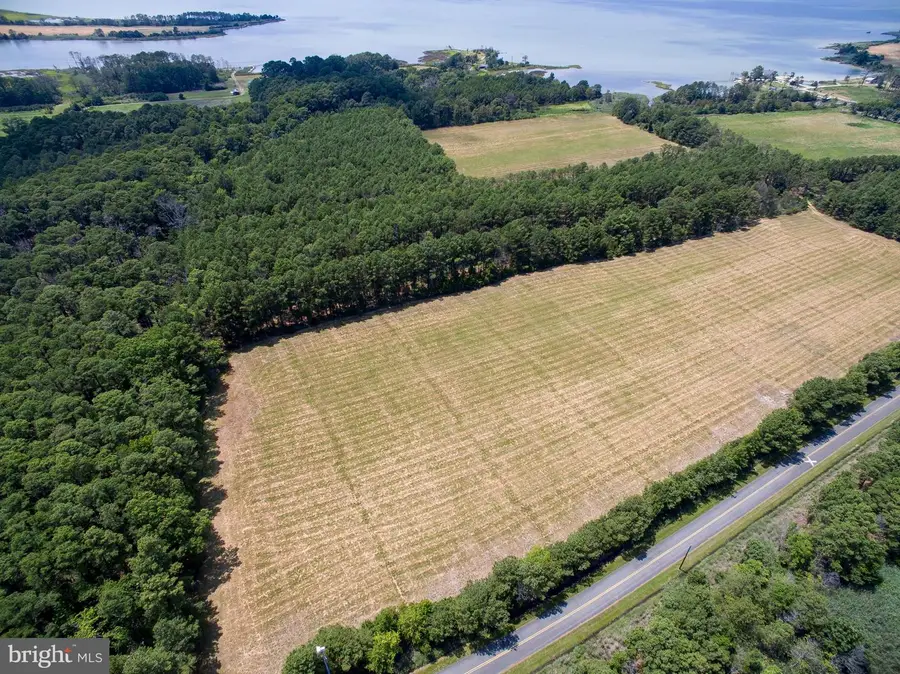 Hoopers Neck Rd, Taylors Island, MD 21669 - Image #2