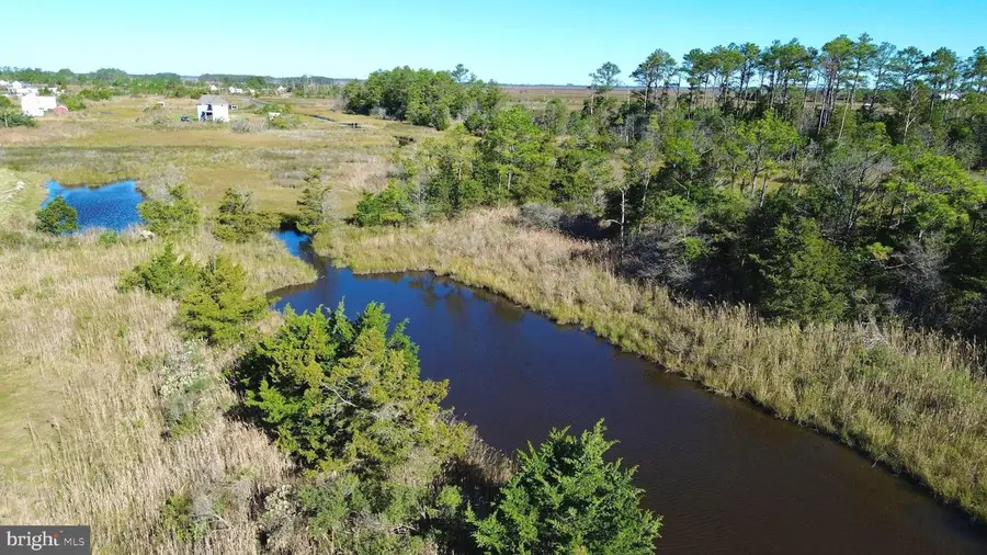 2726 Toddville Rd, Toddville, MD 21672 - Image #2