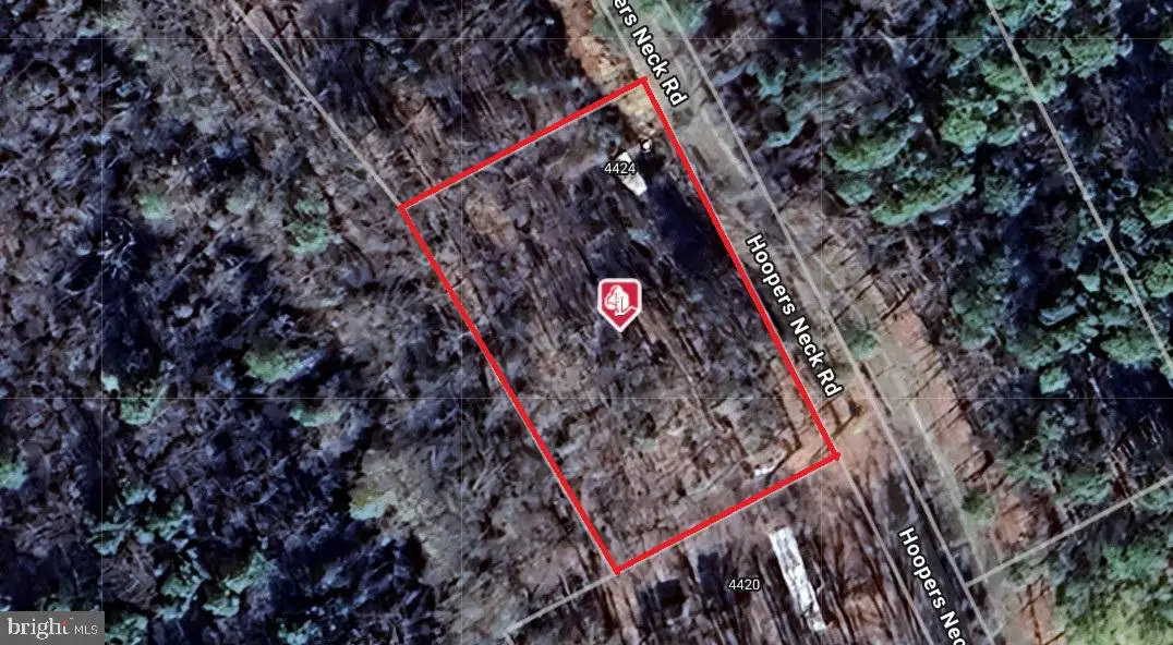 4424 Hoopers Neck Rd, Taylors Island, MD 21669 - Image #1