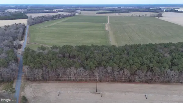 Bobtown Rd, HURLOCK, MD 21643