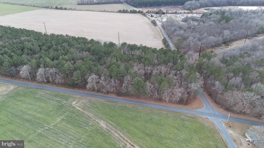 Bobtown Rd, Hurlock, MD 21643 - Image #3