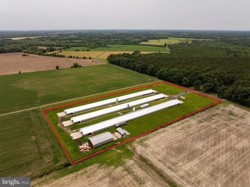 Beaver Neck Village Rd, Cambridge, MD 21613 - #1