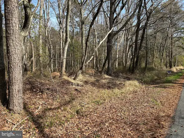 Bay Shore Rd, TAYLORS ISLAND, MD 21669