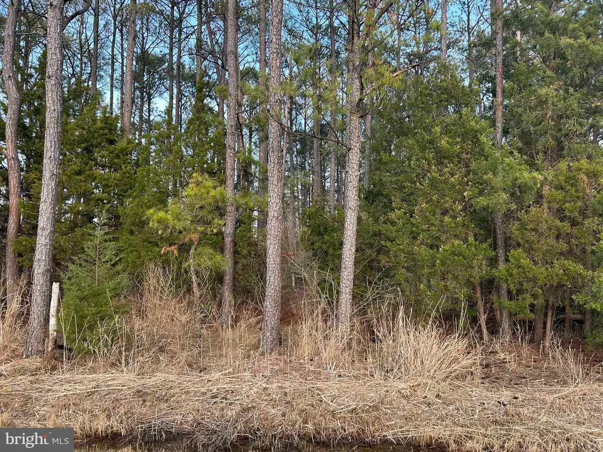 Cassons Neck- Seabreeze Ct, Cambridge, MD 21613 - #1