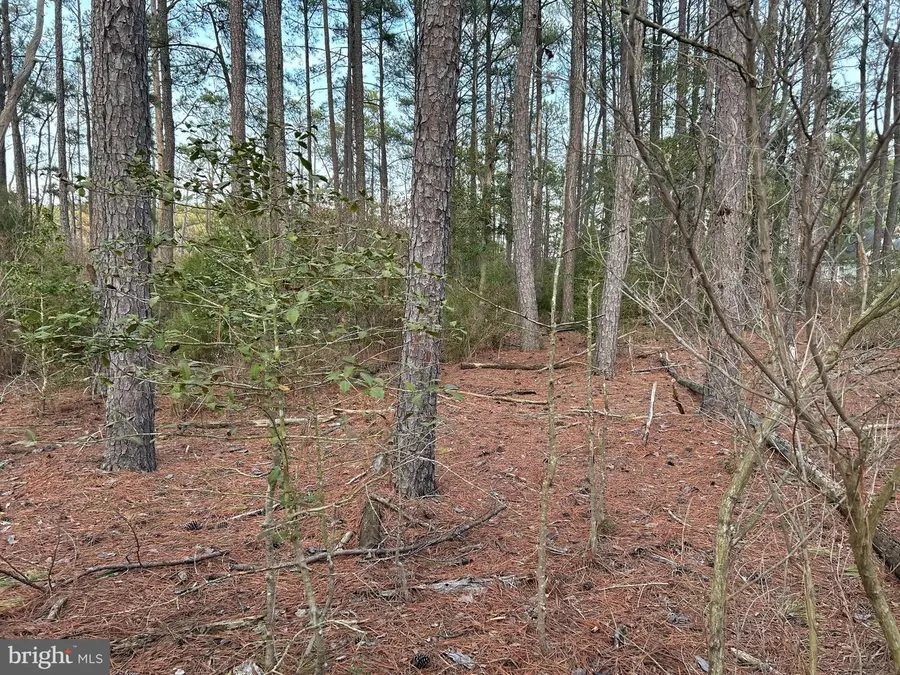 Cassons Neck- Seabreeze Ct, Cambridge, MD 21613 - #2