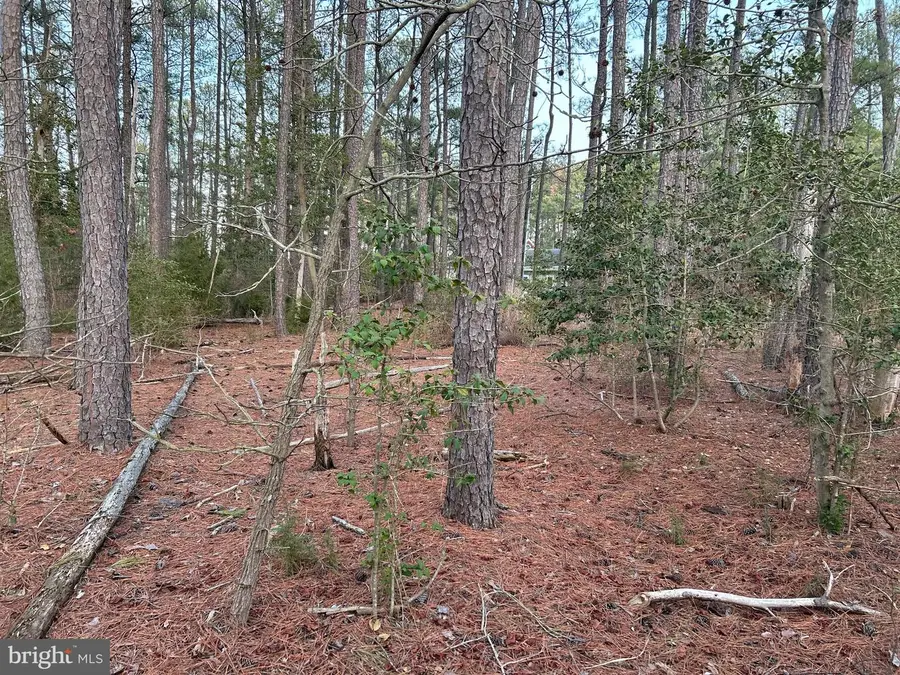 Cassons Neck- Seabreeze Ct, Cambridge, MD 21613 - #3