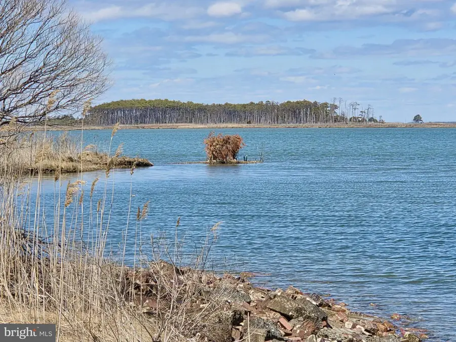 Waterfront Honga River --waterfowl Steamboat Wharf Rd, Fishing Creek, MD 21634 - #2