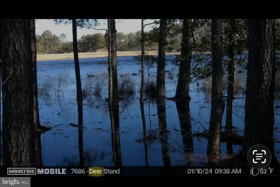 2839 Lakesville Crapo Rd, Church Creek, MD 21622 - #3