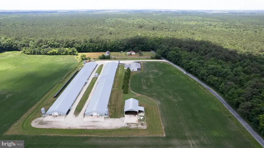 5405 Wesley Rd, Hurlock, MD 21643 - #2