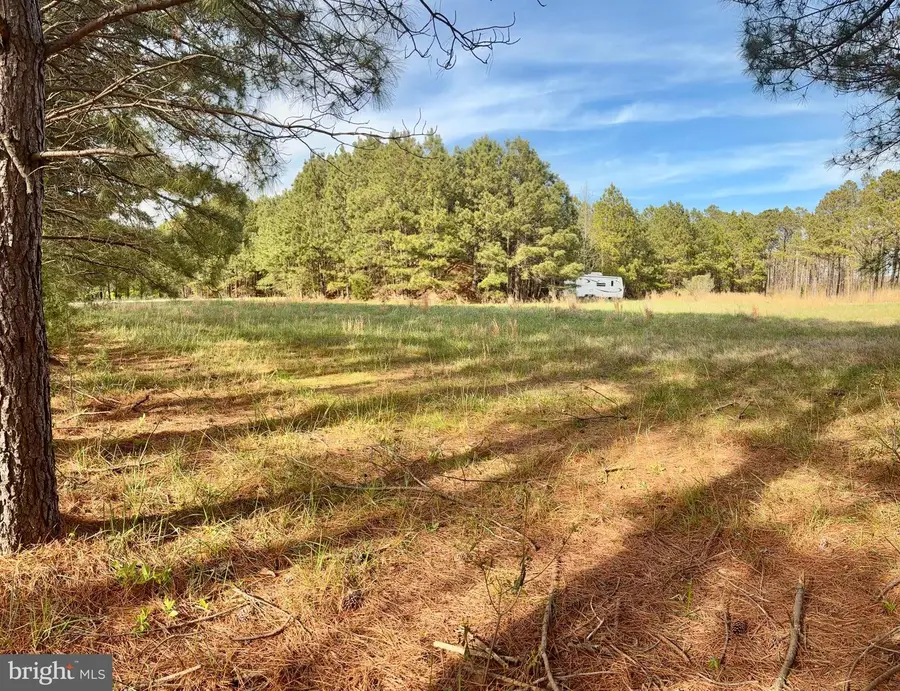 Ragged Point Rd, Cambridge, MD 21613 - #3