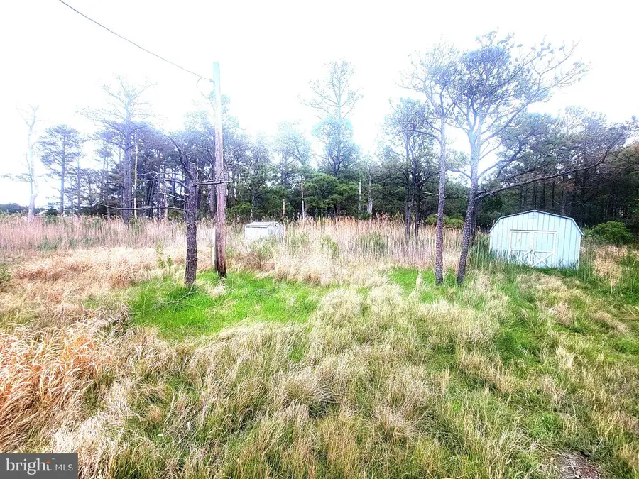 2125 Hoopersville Rd, Fishing Creek, MD 21634 - #3