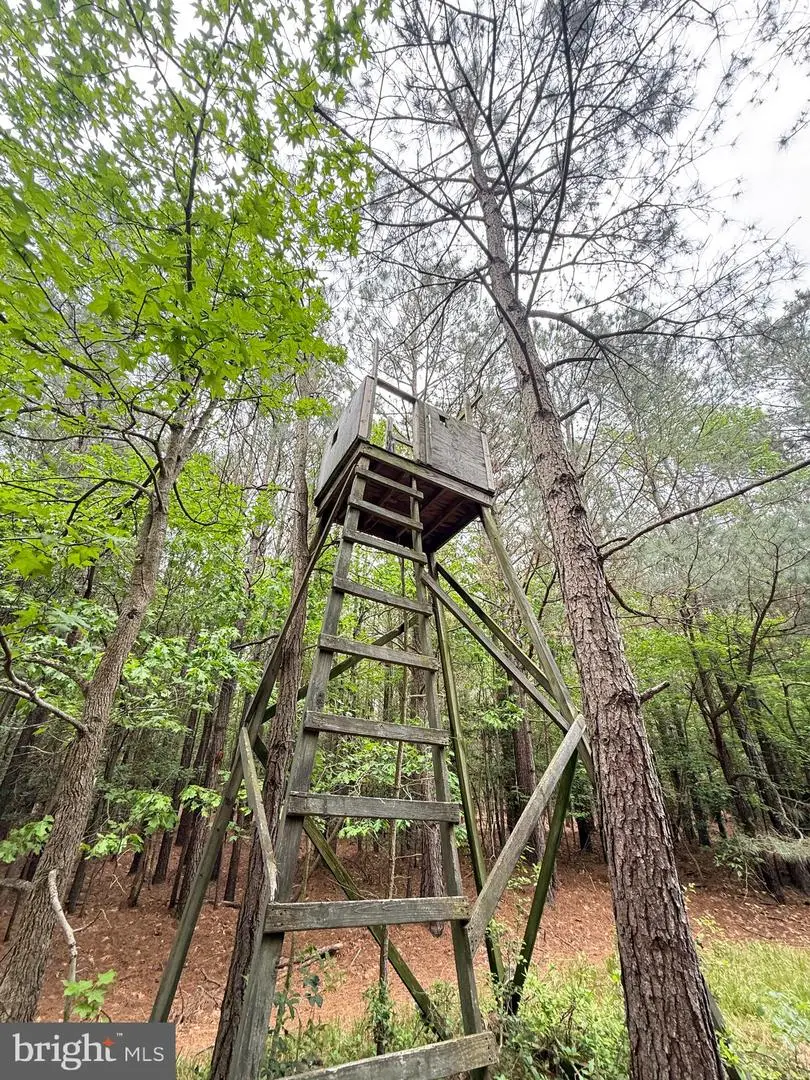 Taylors Island Rd, Woolford, MD 21677 - #1