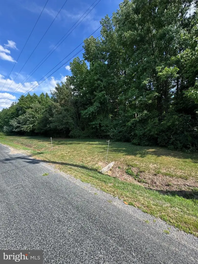 007 Kraft Rd, Vienna, MD 21869 - #1