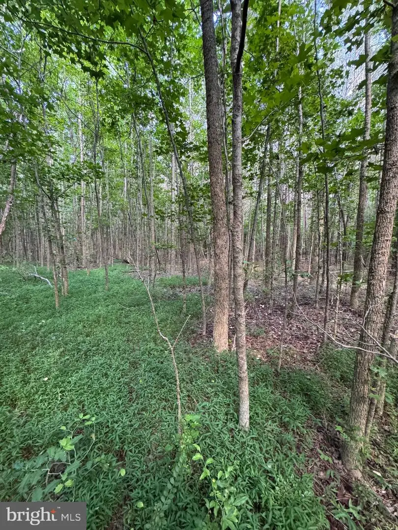 007 Kraft Rd, Vienna, MD 21869 - #3