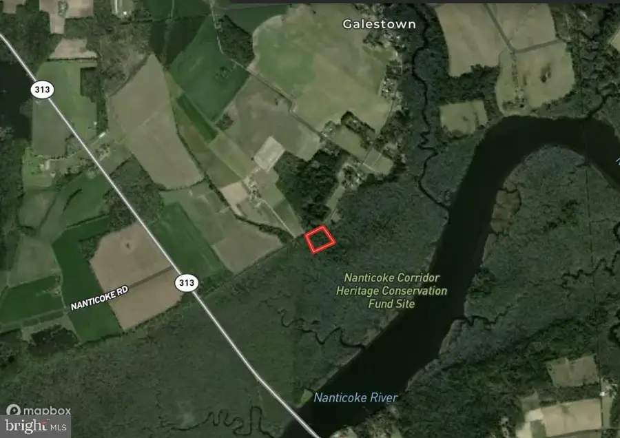 0 Galestown Rd, Rhodesdale, MD 21659 - #3