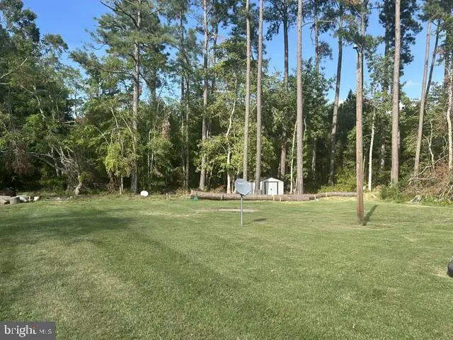 4526 Bay Shore Rd, Taylors Island, MD 21669 - #2