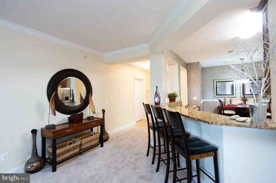 2700 Willow Oak Dr #411b, Cambridge, MD 21613 - #3