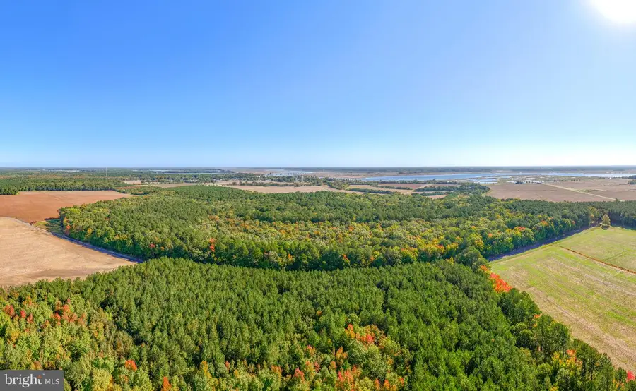Elliott Island Rd, Vienna, MD 21869 - #3