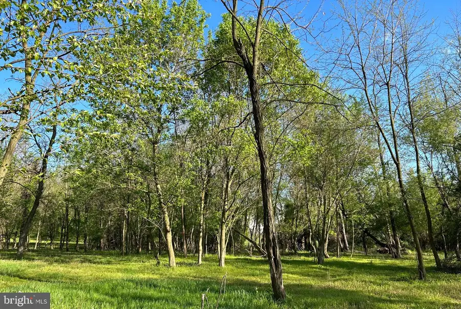 Lot 3 Sundays Manor, Sundays Ln, Frederick, MD 21702 - Image #3