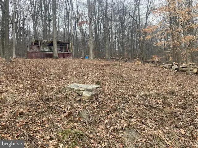 Highland, Frederick, MD 21702 - Image #2