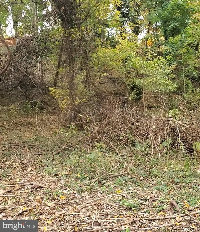 E D St, Brunswick, MD 21716 - #3