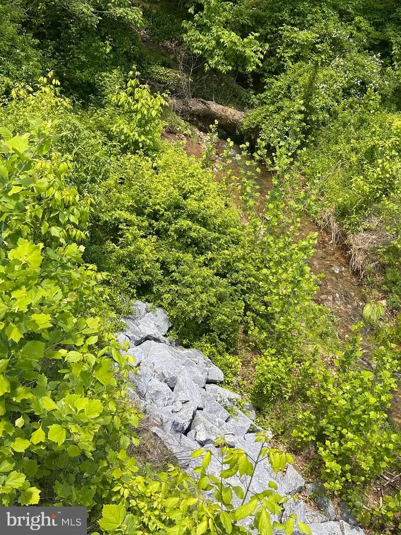 Potomac, Brunswick, MD 21716 - Image #1