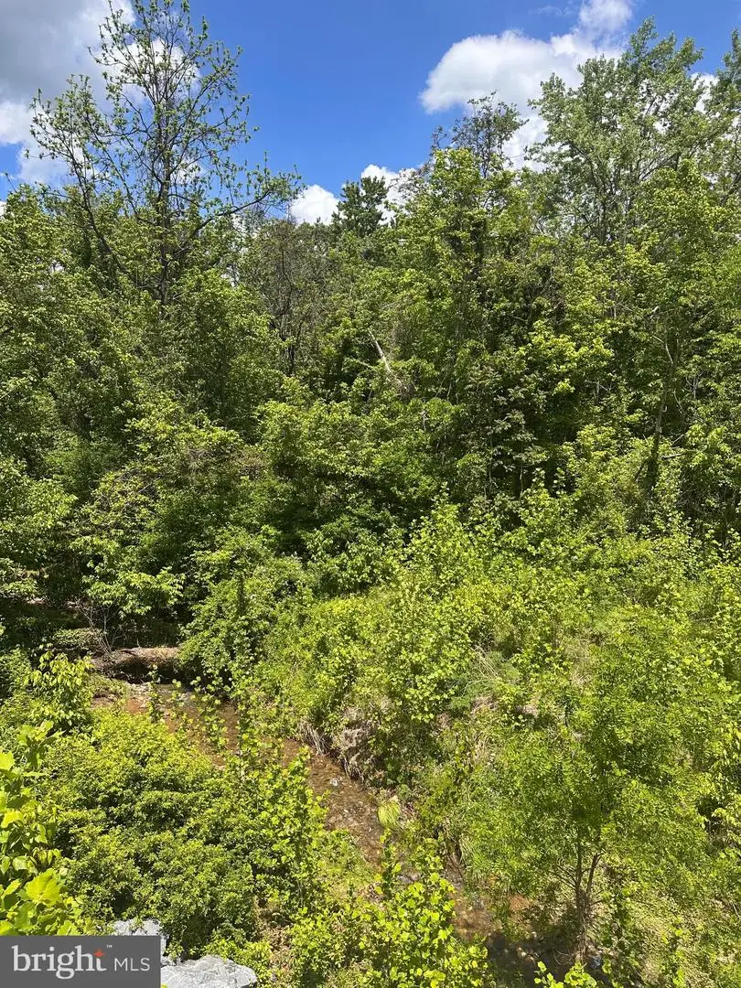 Potomac, Brunswick, MD 21716 - Image #2