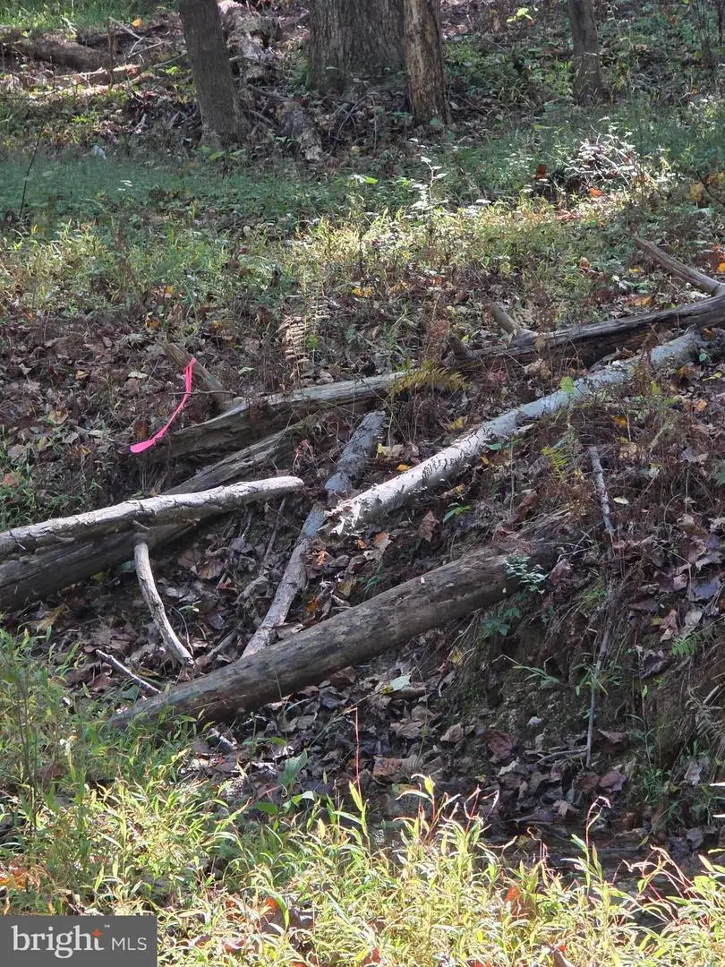 3816-a Jim Smith Ln, New Windsor, MD 21776 - Image #3