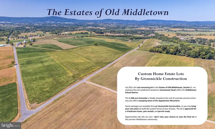 5916 Cloudberry Ct, Middletown, MD 21769 - Image #2