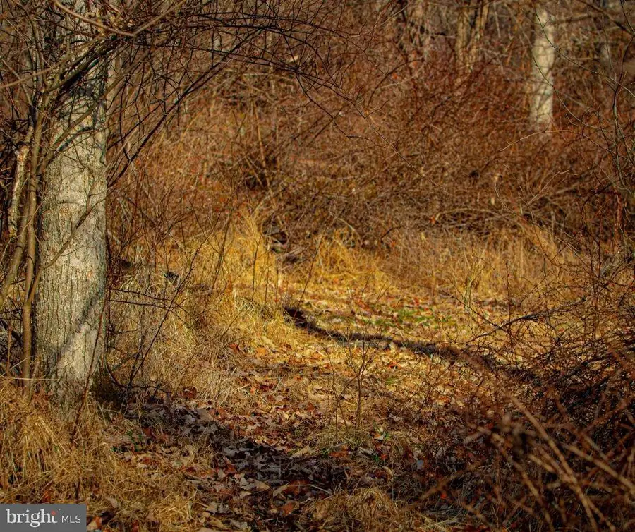 Quirauk School Rd, Sabillasville, MD 21780 - Image #3