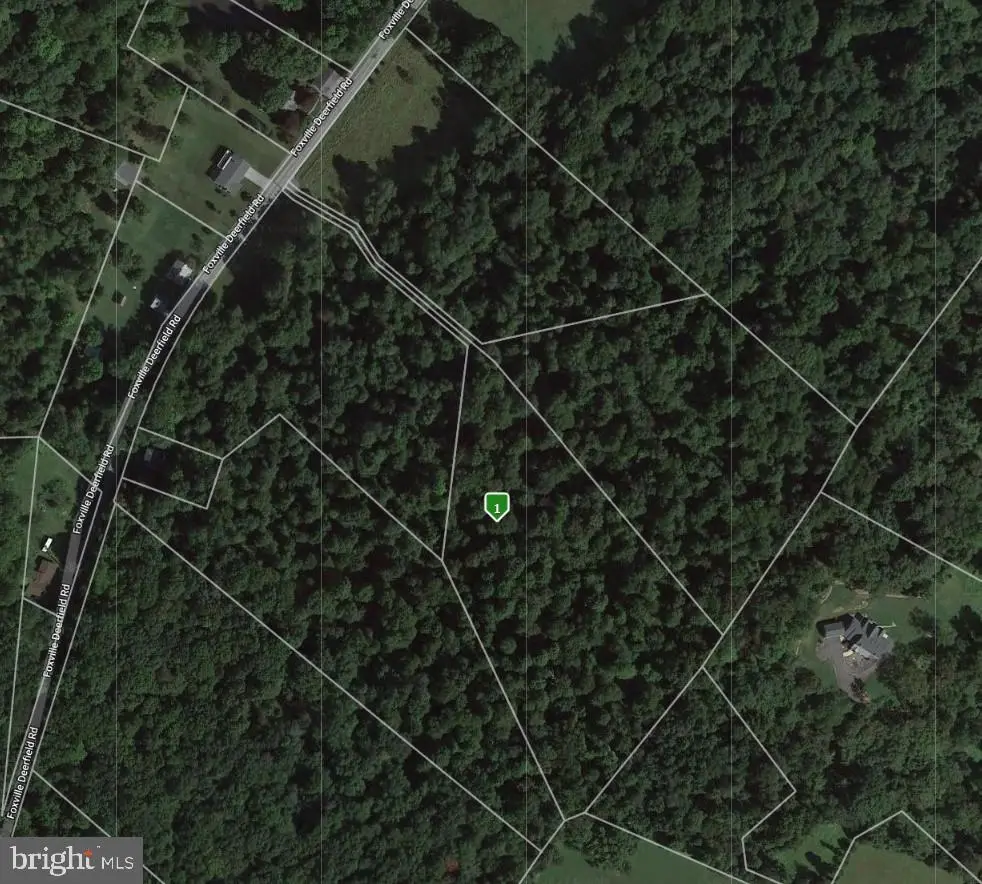 16015 Foxville Deerfield Rd, Sabillasville, MD 21780 - #1