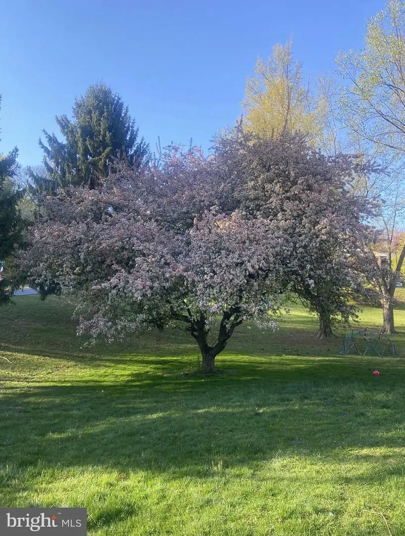 4205 Rolling Acres Dr, Mount Airy, MD 21771 - #3