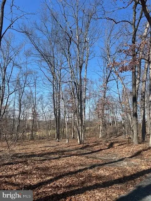 10712 Etzler Mill Rd, Woodsboro, MD 21798 - #3