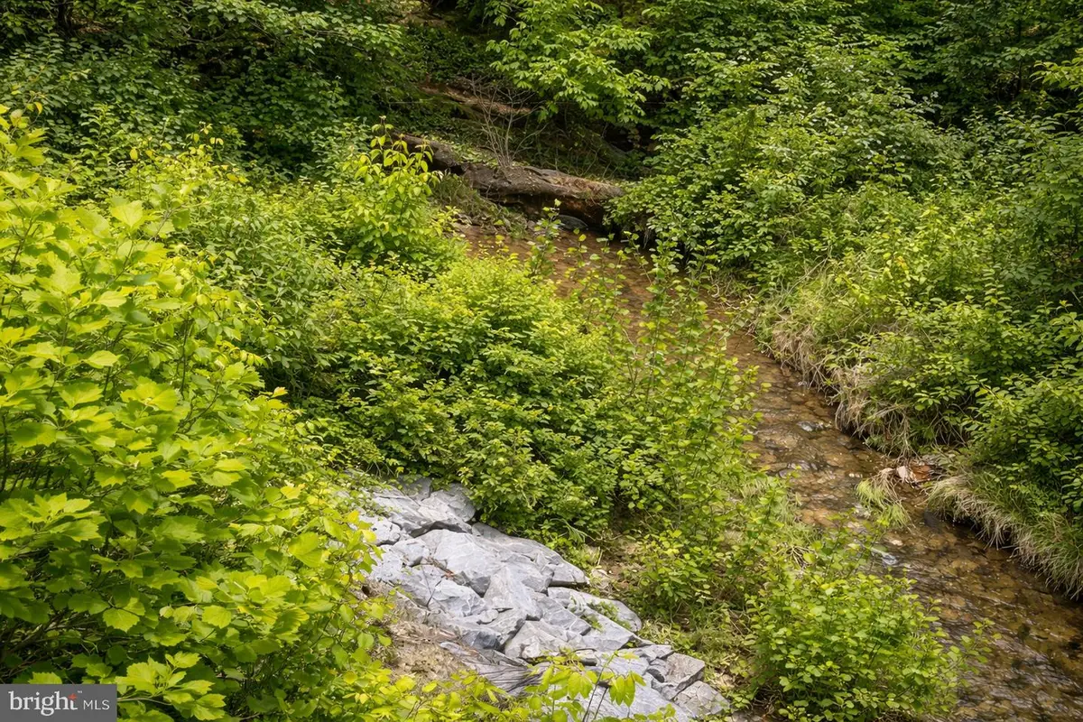 Potomac St, Brunswick, MD 21716 - #1