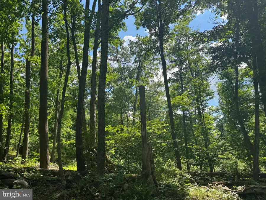 Middle Point Rd, Myersville, MD 21773 - #2