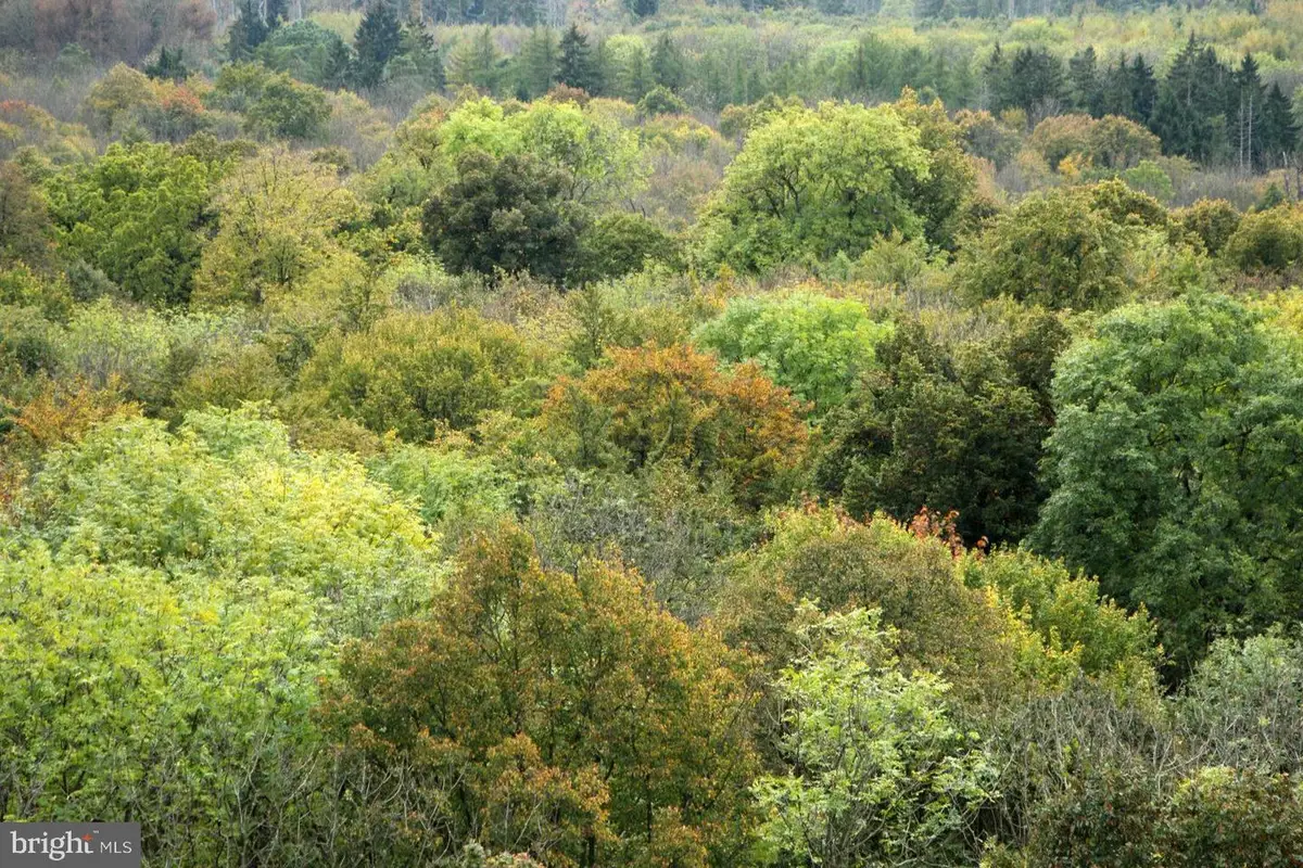 Brown Rd, Smithsburg, MD 21783 - #1