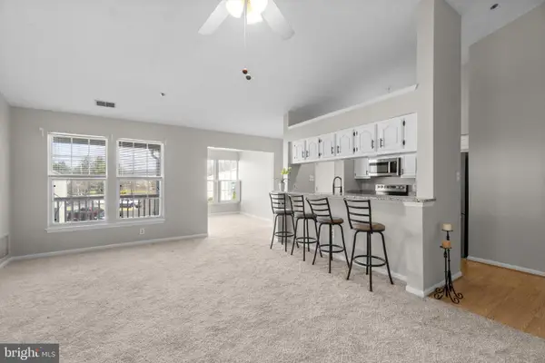 617 Himes Ave #vi110, FREDERICK, MD 21703