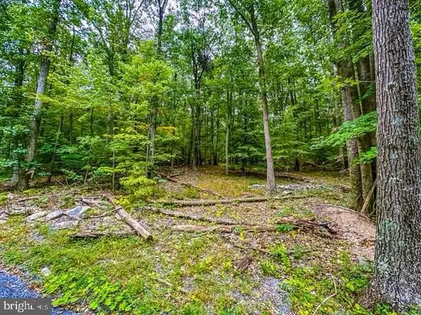 Rum Springs Rd, Myersville, MD 21773 - #2