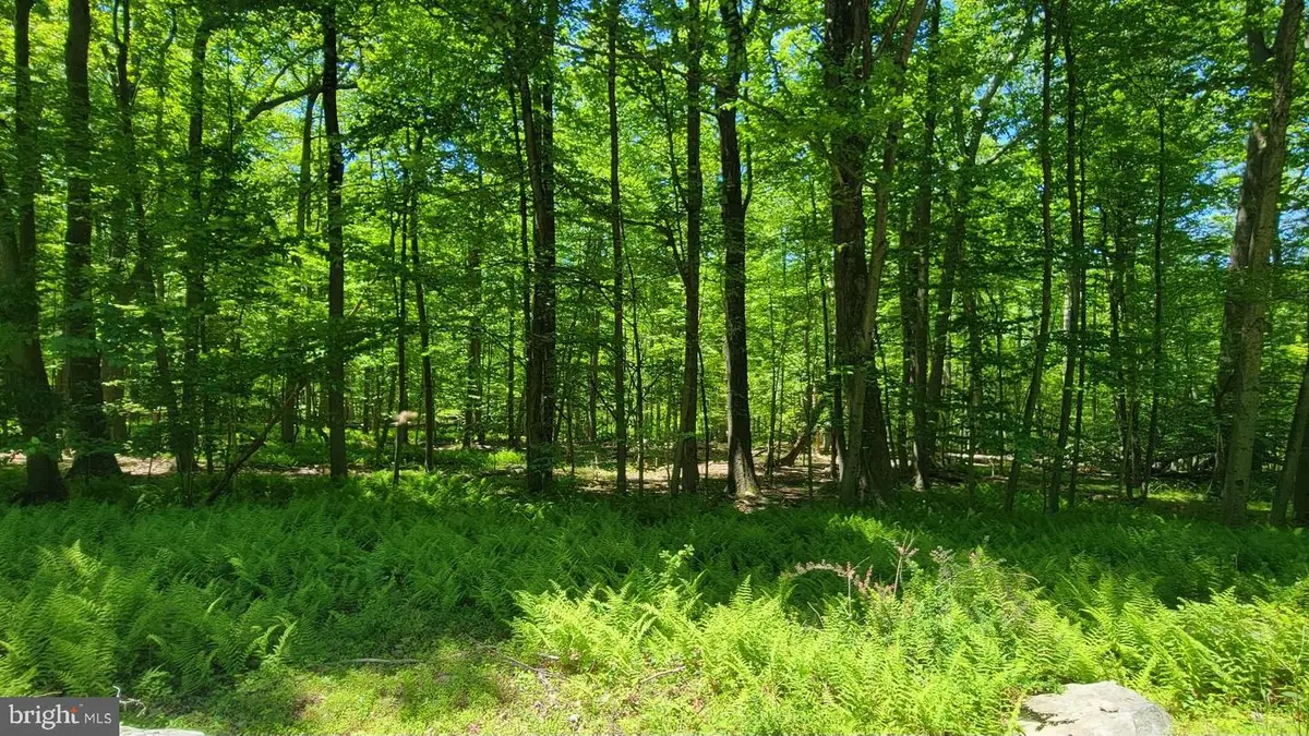 Mink Farm Rd, Thurmont, MD 21788 - #1