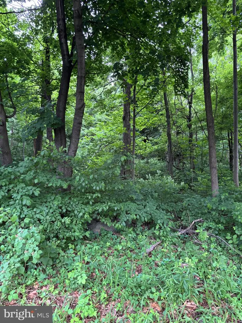 5706 Ridge Rd, Frederick, MD 21702 - #2