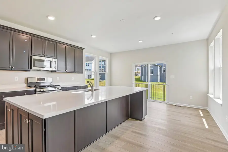 919 Enfield Farm Ln, Brunswick, MD 21716 - #2
