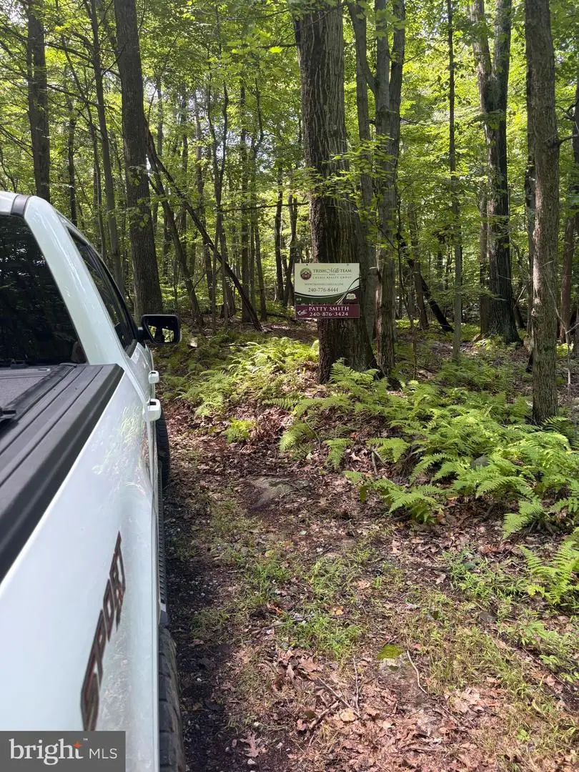 Little Rock Road, Frederick, MD 21701 - #2
