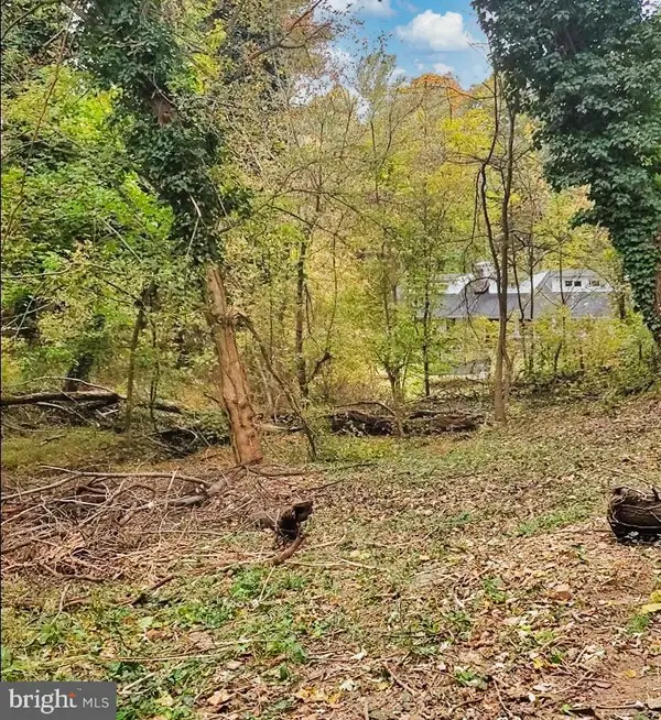 East D St, BRUNSWICK, MD 21716